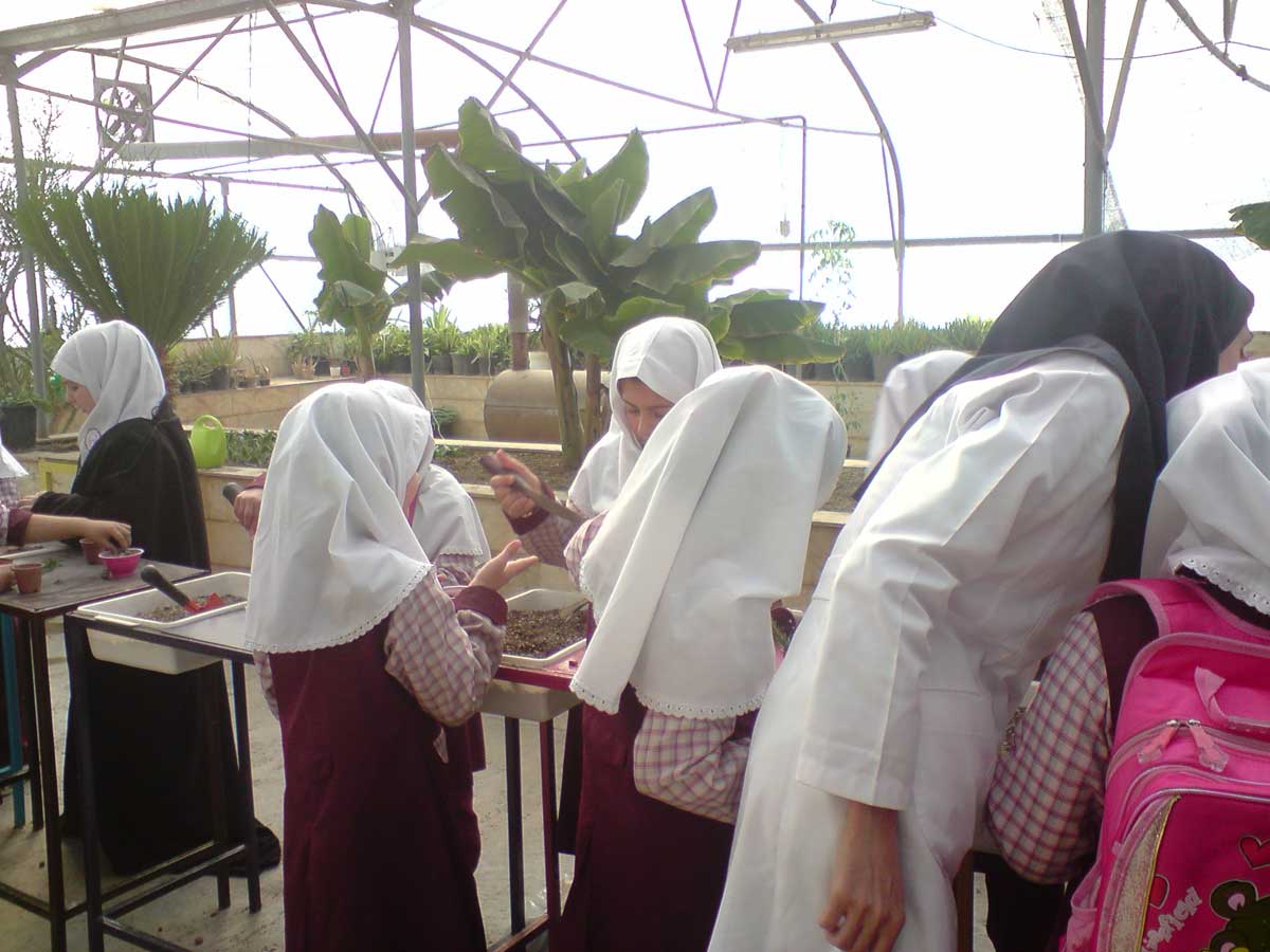 آموزش به مدرسه