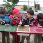 آموزش به مدرسه