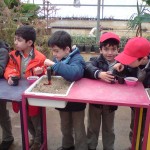آموزش به مدرسه