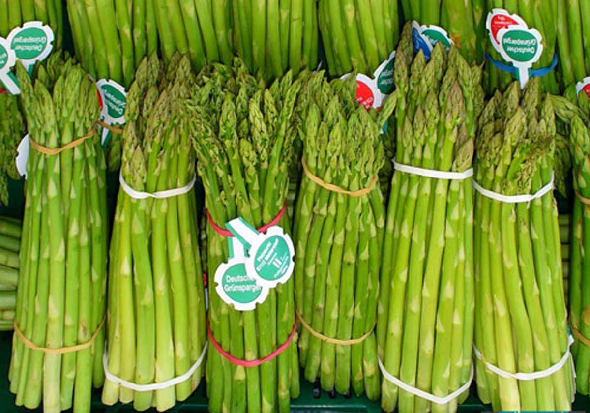 آسپاراگوس(مارچوبه)