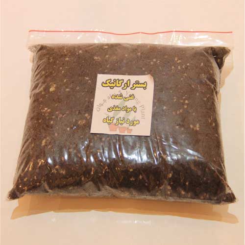 بستر ارگانیک