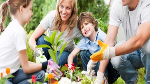 باغبانی کودک و خانواده