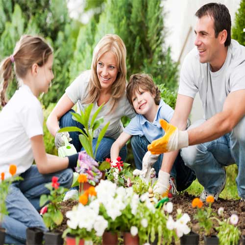 محصولات باغبانی خانگی