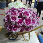 گل آرائی فرغون فانتزی