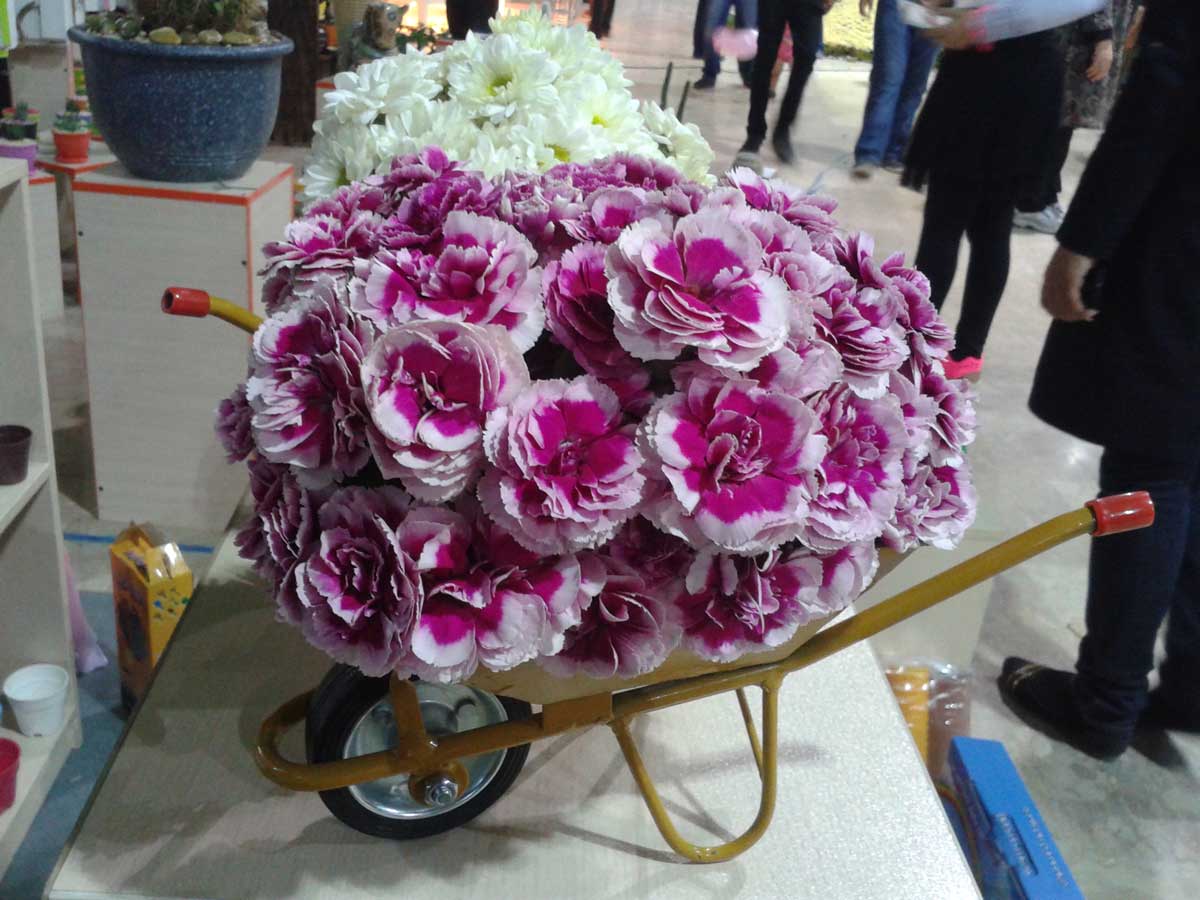 گل آرائی فرغون فانتزی