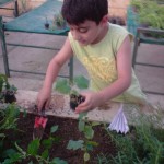 آموزش باغبانی به کودکان