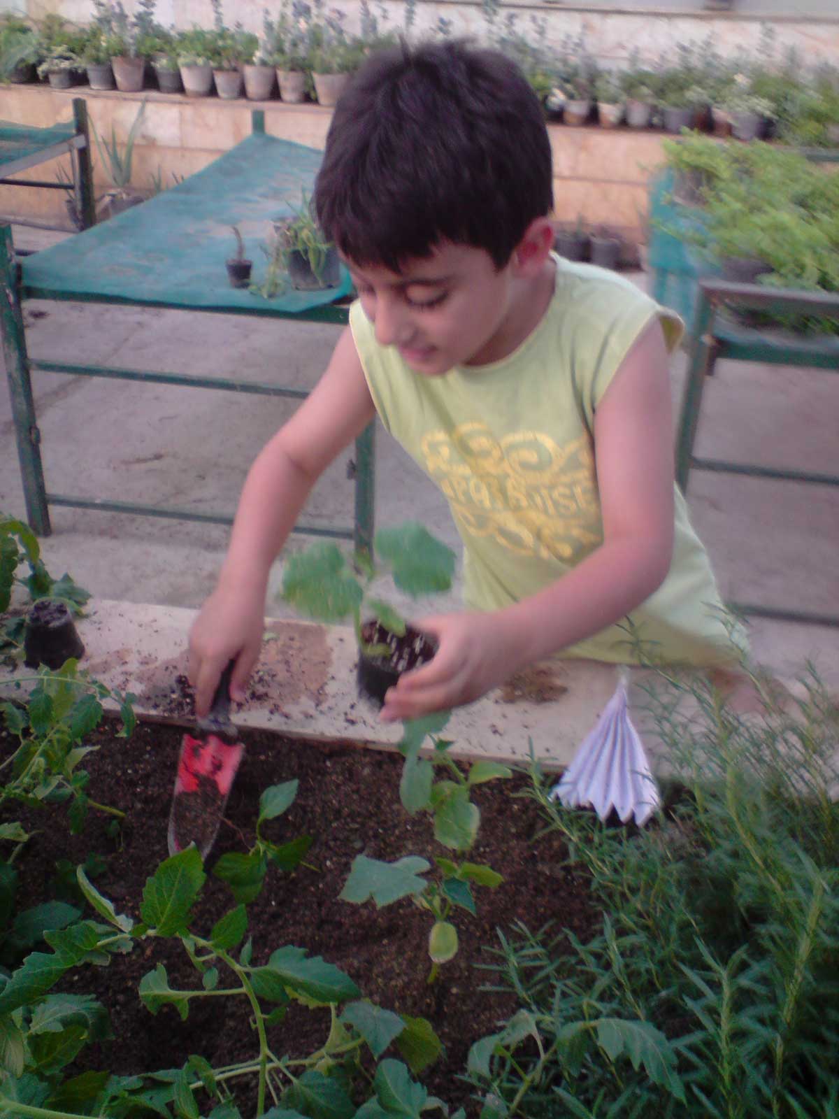 آموزش باغبانی به کودکان