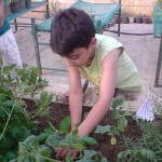 آموزش باغبانی به کودکان