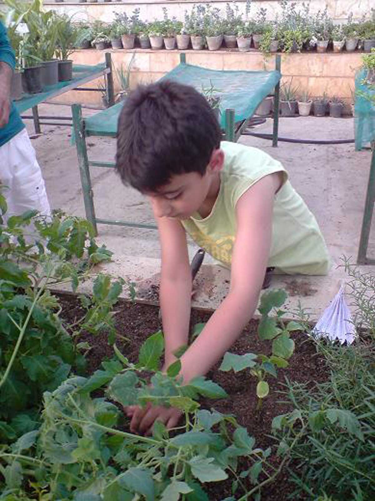 آموزش باغبانی به کودکان