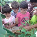 آموزش باغبانی به کودکان