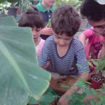 آموزش باغبانی به کودکان