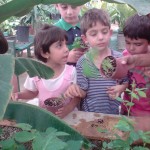 آموزش باغبانی به کودکان