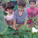 آموزش باغبانی به کودکان