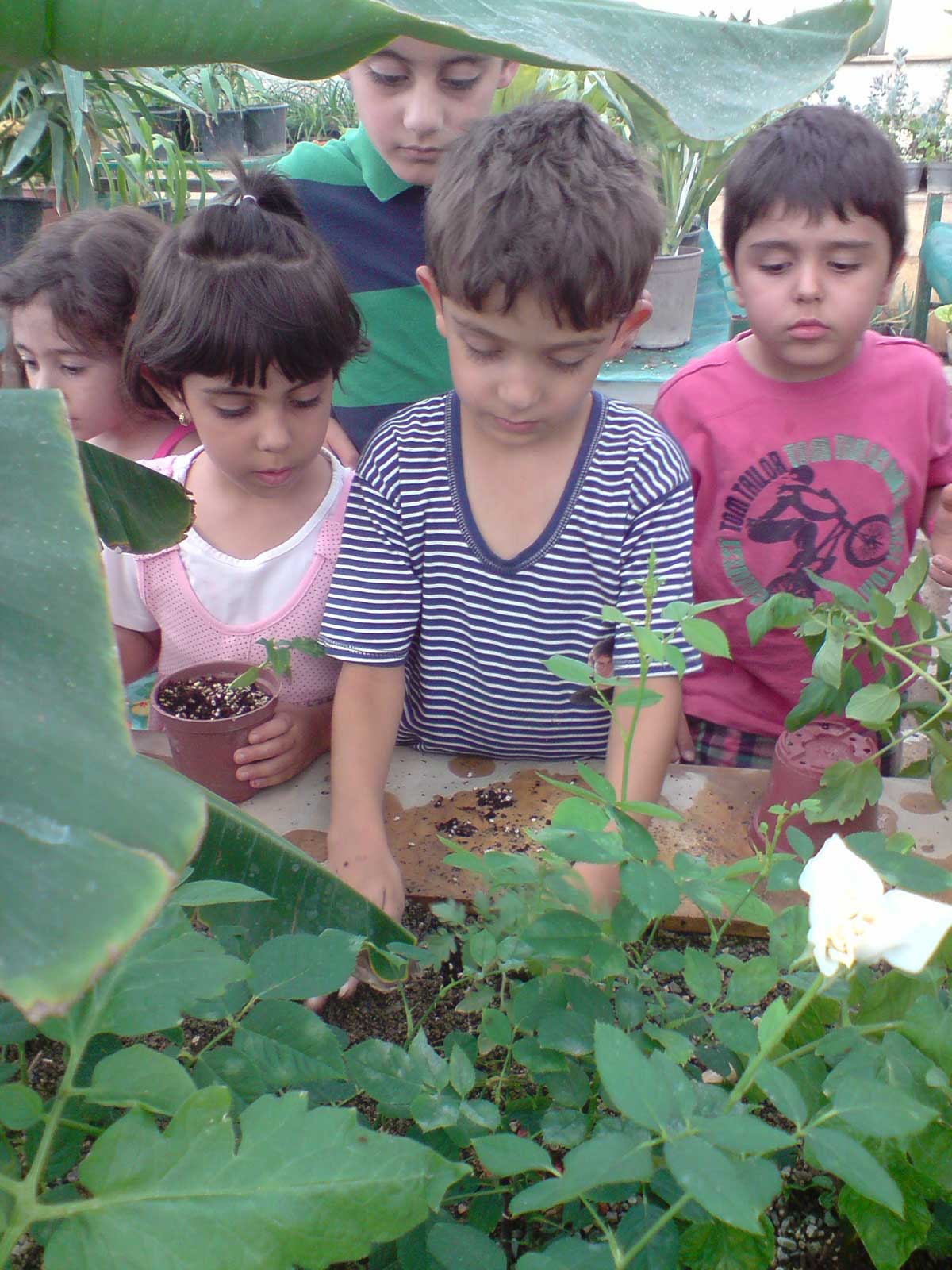 آموزش باغبانی به کودکان