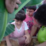 آموزش باغبانی به کودکان