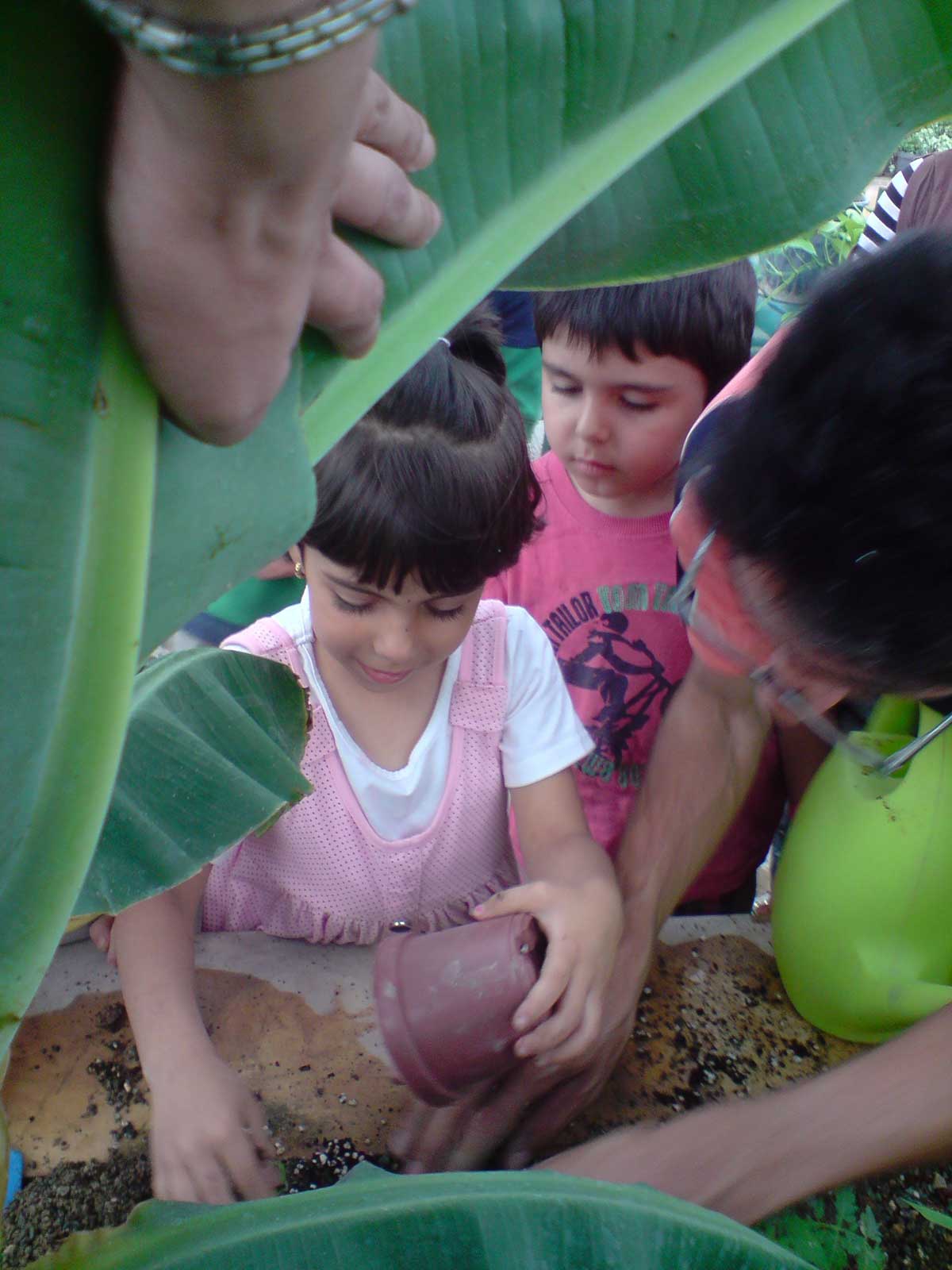 آموزش باغبانی به کودکان