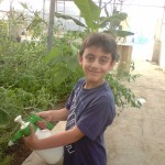 آموزش باغبانی به کودکان