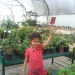 آموزش باغبانی به کودکان