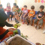 آموزش به مهد کودک
