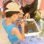 آموزش به مهد کودک