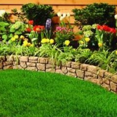 چگونه یک باغچه زیبا داشته باشیم؟