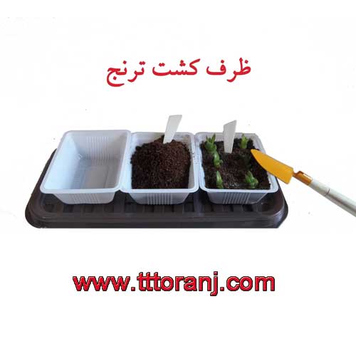 ظرف کشت ترنج