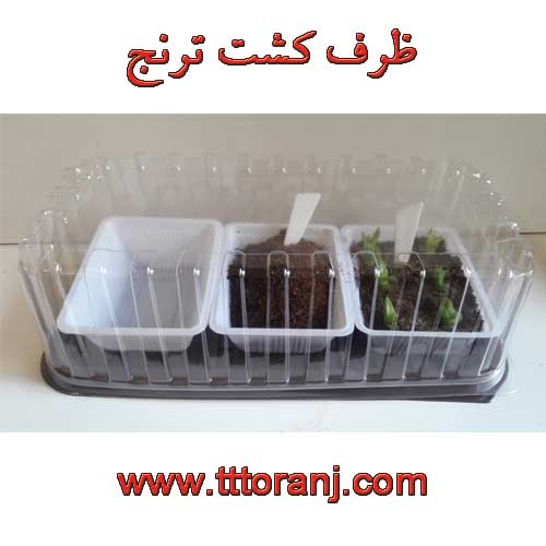 ظرف کشت ترنج